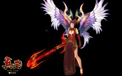 文言文银烛的翻译