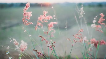 关山难越,谁悲失路之人?萍水相逢,尽是他乡之客。怎么翻译?