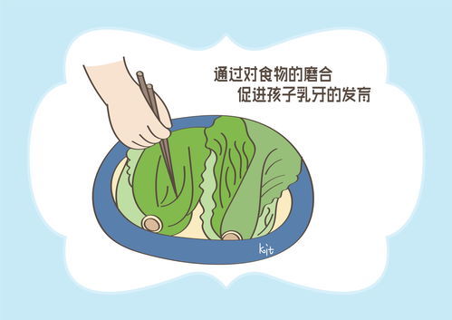 茹毛饮血造句10字，茹毛饮血造句8字