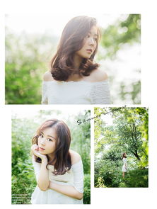 summarize，summary的中文意思