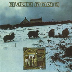 Backdoor是什么病毒