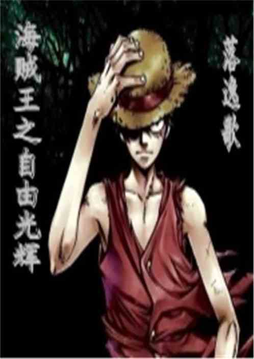 有没有好看的海贼王同人小说