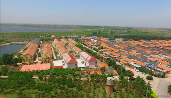 金口镇属于哪个区，金口镇有多少个村