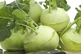 苤蓝的功效与作用，苤蓝种植时间及栽培方法