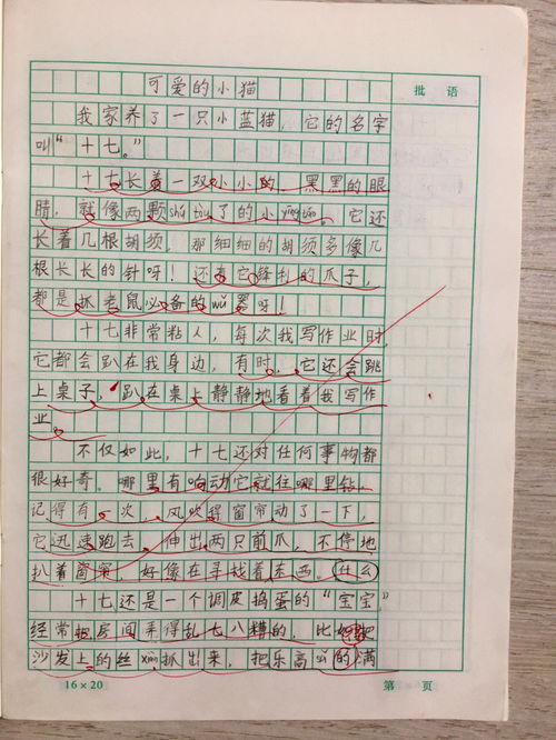 小学三年级描写动物的作文范文(五篇)