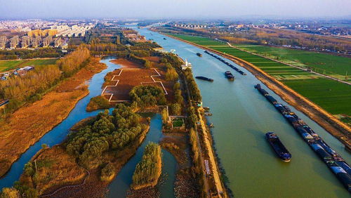 闪烁、慰藉、蚊帐、猫头鹰、河滩、蝙蝠拼音分别是什么?扫荡威力锐利