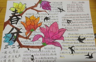 春分的手抄报怎么画，春分的手抄报 简单漂亮