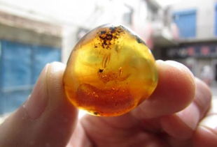 琥珀的科学价值是什么意思，琥珀的科学价值是什么20字