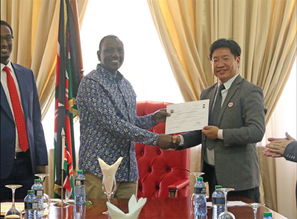 solidify翻译，solidify翻译成中文