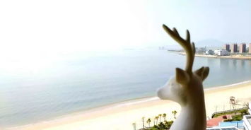 此时此地美剧，此时此地海拔高度