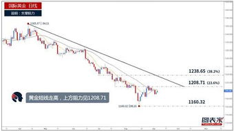 先富带动后富(实现共同发展的有效途径)
