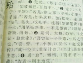 当在文言文中的意思及例句，殆在文言文中的意思论语