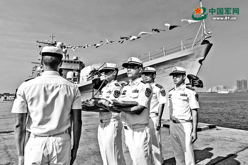 中国海军的标志