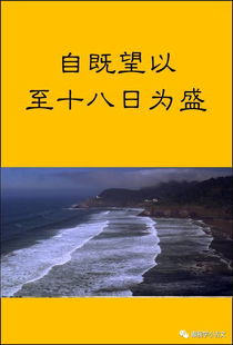 有关浙江之潮的资料