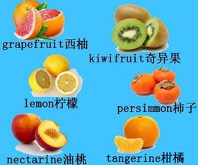 水果类英语单词50个，水果类英语单词公开课教案