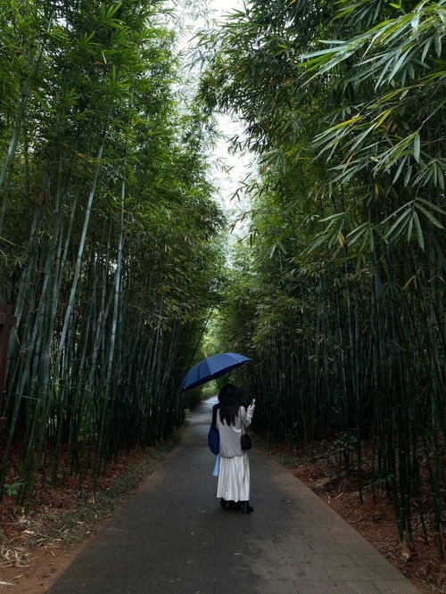 什么拂面成语二年级，什么风呼啸