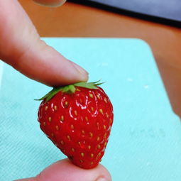 一颗小草莓小说简介，小草莓