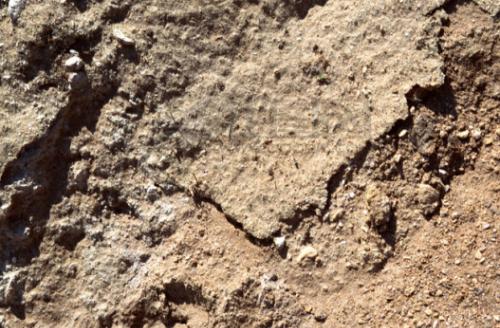 土层锚杆的组成，土层锚杆图片