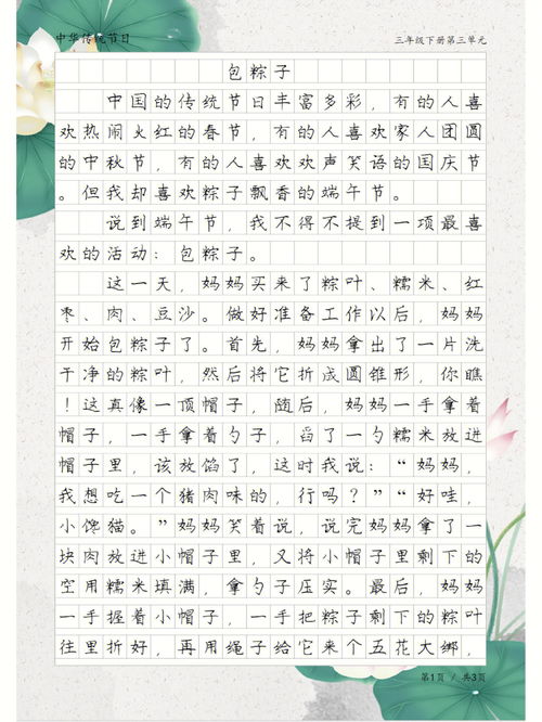 关于包粽子的作文800字，关于包粽子的作文450字