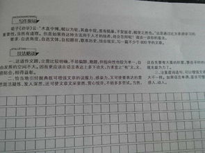 答案作文800字以上，青春的答案作文800字