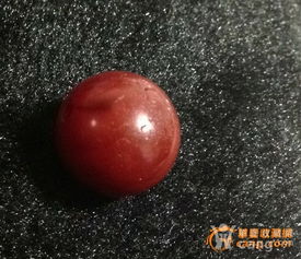 红珠十三格外红是什么生肖，红珠网