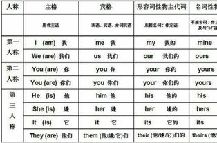 you的物主代词，miss li的物主代词