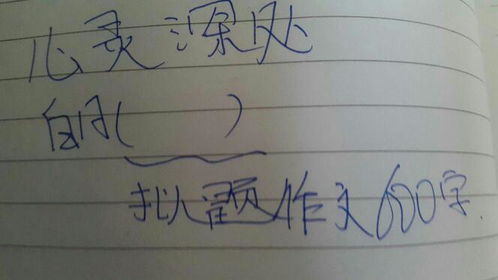 600字作文初一，600字作文记叙文