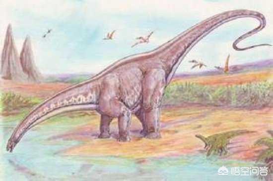 什么龙(三字词语)