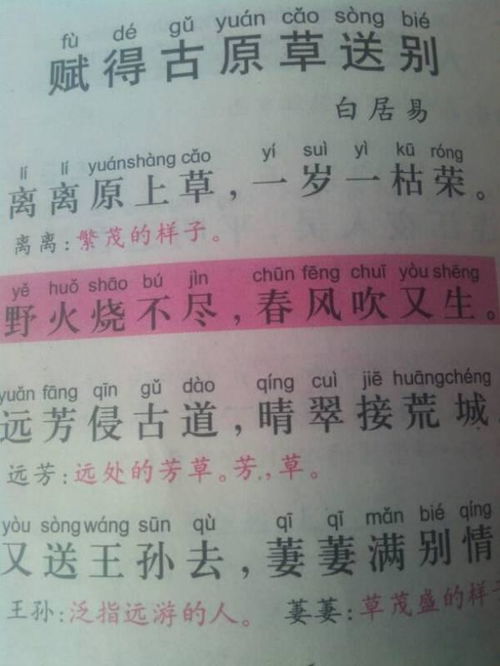 草原草原的读音