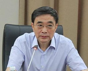 徐鸣的人物简介