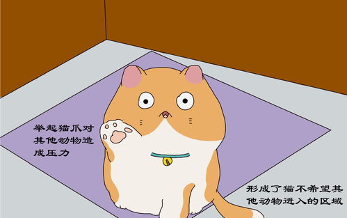 招呼拼音是轻声吗，快乐拼音