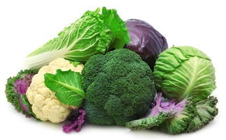 有机食品是什么意思?