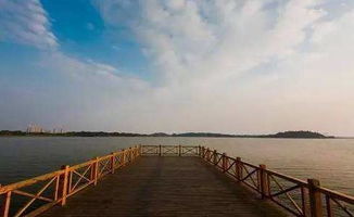 后官湖别墅，后官湖面积