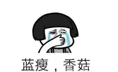 不是什么意思,"不"的汉语解释