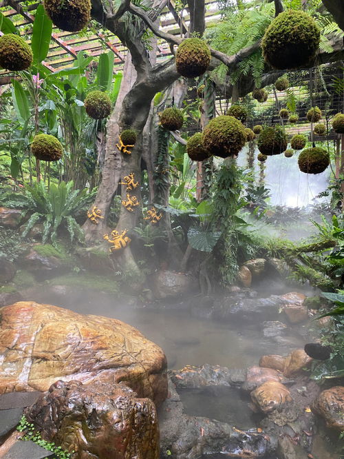 什么拂面四字成语