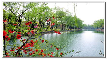 春天的二字成语100个?