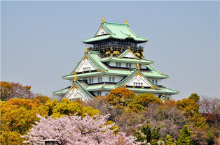 天守阁房顶怎么上去，天守阁图片