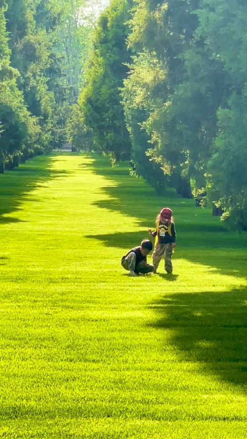 悠闲是什么意思 悠闲造句 近义词反义词