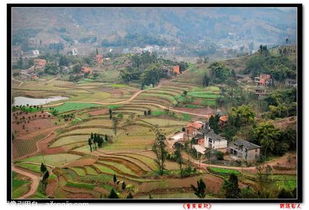 2016年正月十三日奉节县天气预报