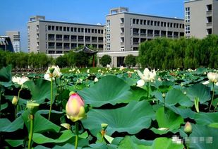 嘉兴学院平湖校区宿舍，嘉兴学院平湖校区面积
