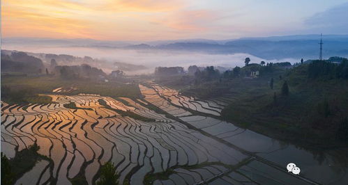 崃的拼音，崃字取名的寓意