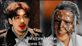 crawl是什么意思?