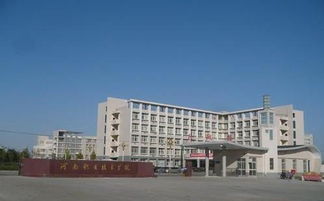 河南应用职业技术学院什么时候出单招成绩?