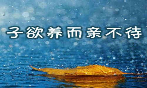 不待和不怠有什么区别?