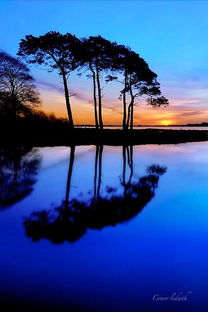 什么的倒影是什么歌，什么的倒影叠词填空一年级