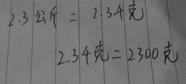 1斤等于多少克，2.3斤等于多少克