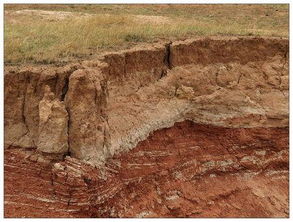 土层能否可逆形成岩石