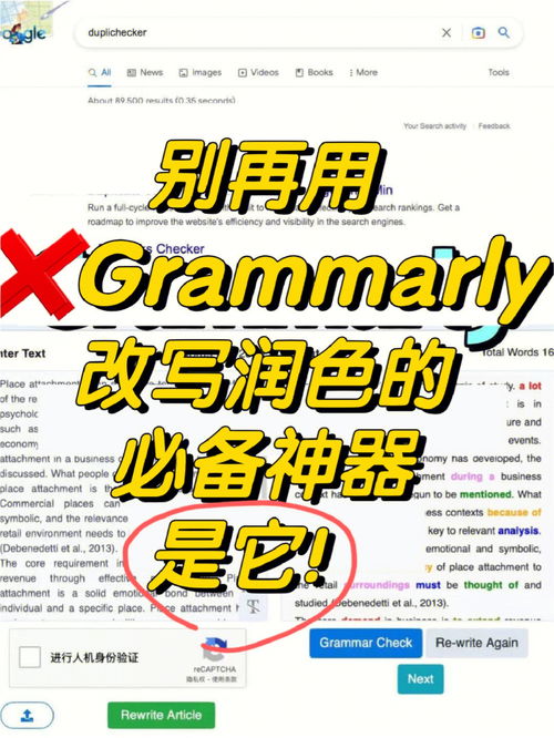 同学的英文单词怎么写的，学生的英文