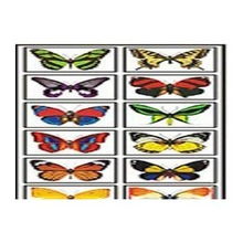 装饰材料封边条用英语怎么说