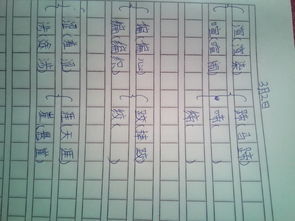 “糊”的组词有哪些?